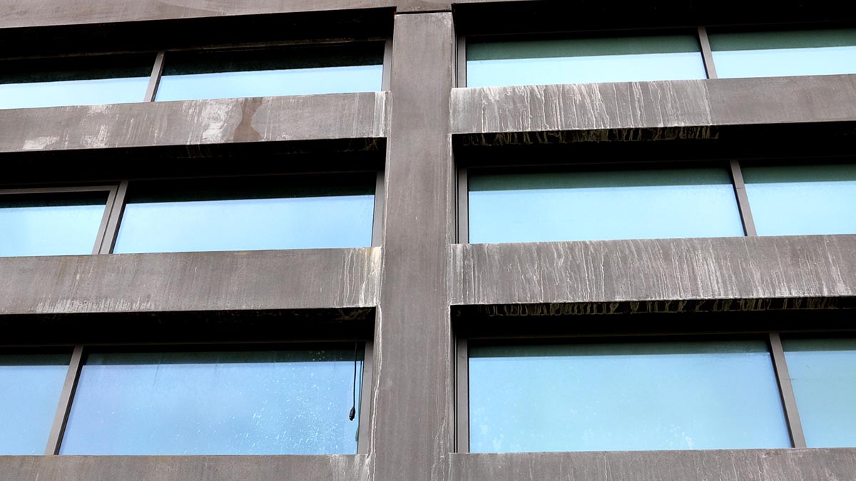 kalkuitbloei - witte klaksporen op zwarte gevel